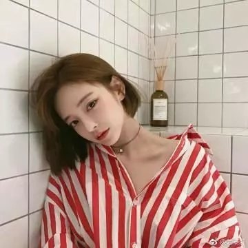 哈啰!毛小孩